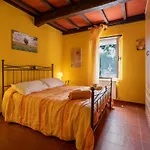 La Pieve - Mimose Daire