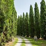 La Pieve - Mimose *