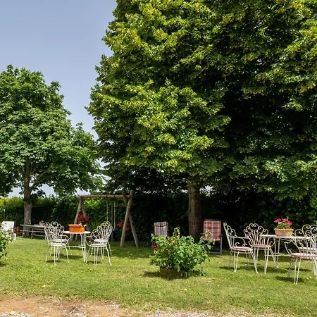 La Pieve - Mimose Pereta