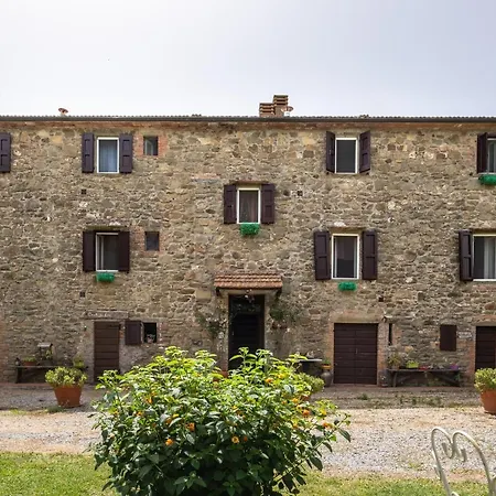 La Pieve - Mimose *