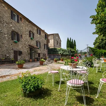 La Pieve - Mimose Daire