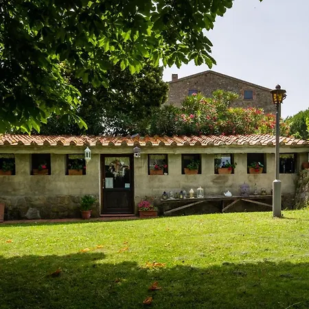 La Pieve - Mimose Apartment