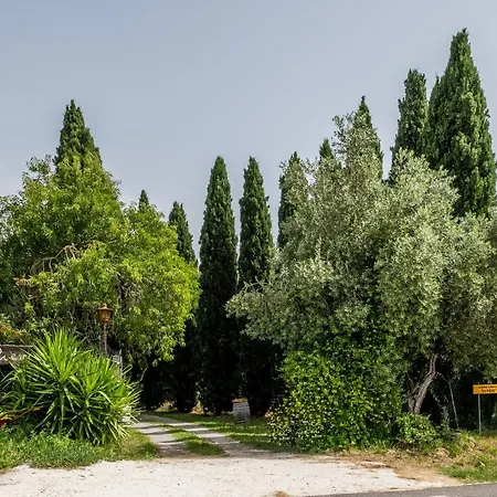 La Pieve - Mimose Daire *