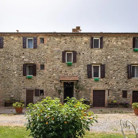 La Pieve - Mimose Daire