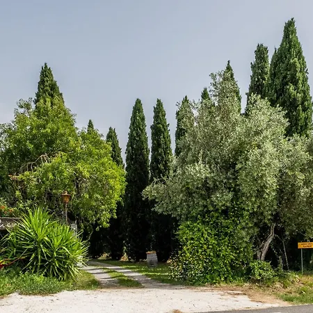 La Pieve - Mimose * Magliano in Toscana